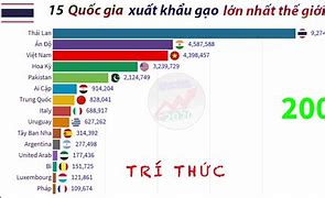 Các Nước Cấm Xuất Khẩu Lương Thực Lớn Nhất The Giới