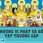 Chư Phật Là Gì