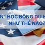 Du Học Chuyển Tiếp Sang Mỹ Được Không Ạ