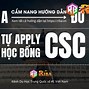 Học Bổng Chính Phủ Trung Quốc (Cgs) Visa Online Login