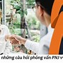 Kinh Nghiệm Phỏng Vấn Nhân Viên Pnj