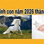 Năm 2026 Là Năm Con Gì Sinh Con Có Tốt Không