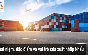 Vai Trò Nhập Khẩu